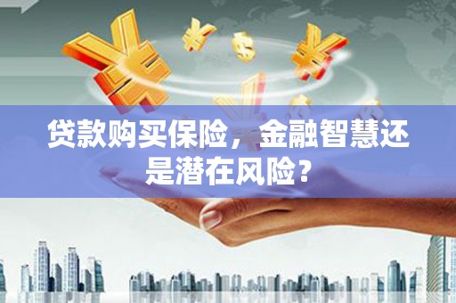 玛家贷款购买保险，金融智慧还是潜在风险？