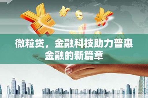 雷州微粒贷，金融科技助力普惠金融的新篇章