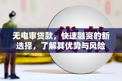 颍上无电审贷款，快速融资的新选择，了解其优势与风险