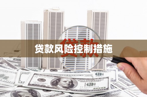 宣威贷款风险控制措施