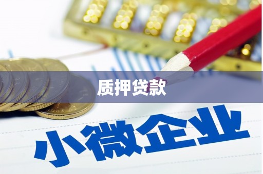 留坝质押贷款