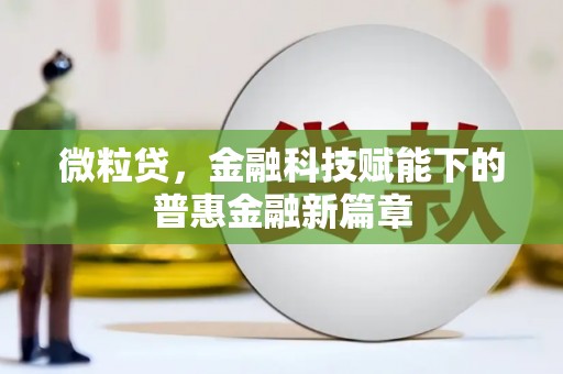 内湖微粒贷，金融科技赋能下的普惠金融新篇章