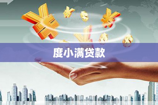 云龙度小满贷款