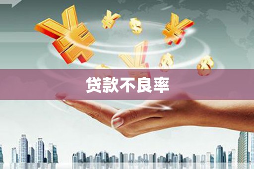 朔城贷款不良率