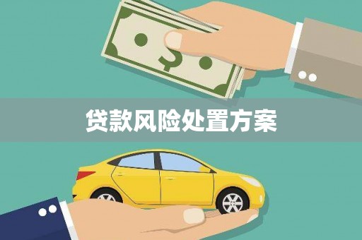 芦淞贷款风险处置方案