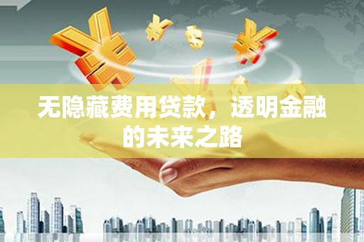 烟台无隐藏费用贷款，透明金融的未来之路