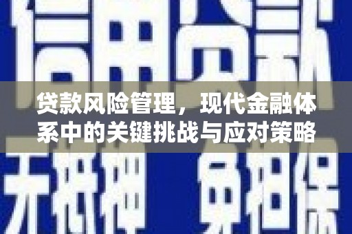 仁寿贷款风险管理，现代金融体系中的关键挑战与应对策略