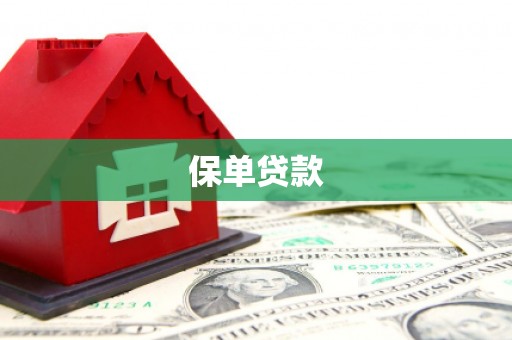 崇左保单贷款