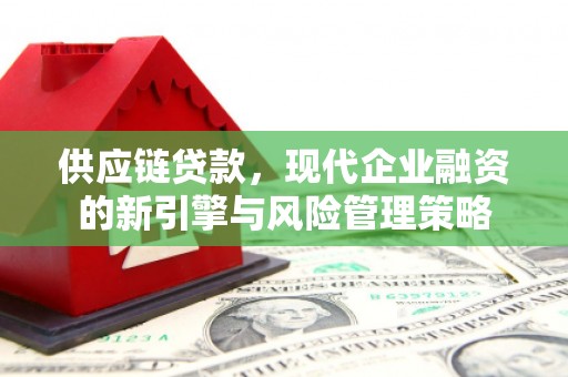 昆明供应链贷款，现代企业融资的新引擎与风险管理策略