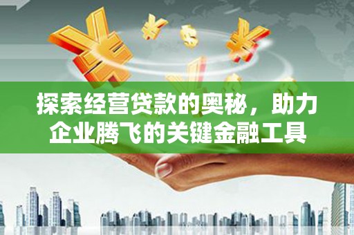 阜平探索经营贷款的奥秘，助力企业腾飞的关键金融工具