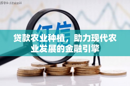 荥阳贷款农业种植，助力现代农业发展的金融引擎