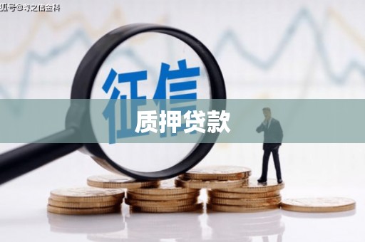 临海质押贷款