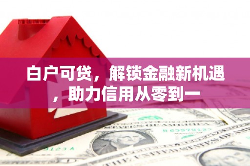 遂昌白户可贷，解锁金融新机遇，助力信用从零到一
