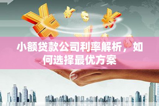 五家渠小额贷款公司利率解析，如何选择最优方案