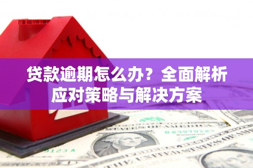 汕尾贷款逾期怎么办？全面解析应对策略与解决方案