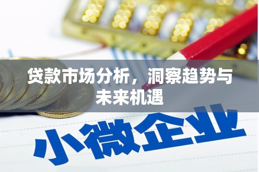 普格贷款市场分析，洞察趋势与未来机遇