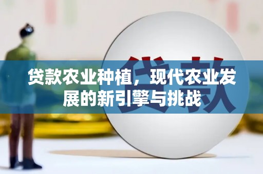 旅顺口贷款农业种植，现代农业发展的新引擎与挑战