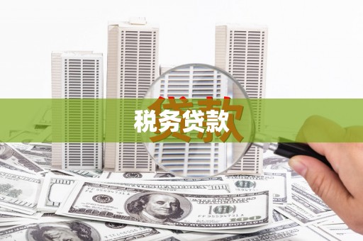 康保税务贷款