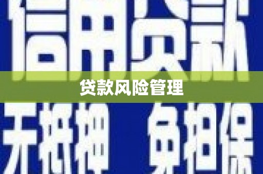 邵阳县贷款风险管理