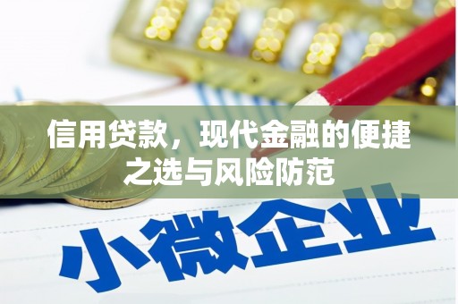 安南信用贷款，现代金融的便捷之选与风险防范
