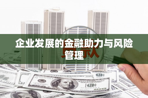 望德堂区企业发展的金融助力与风险管理