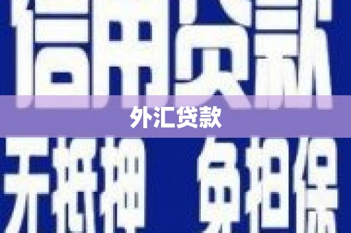 云梦外汇贷款