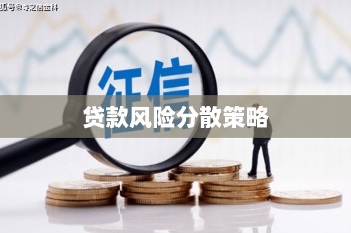 剑阁贷款风险分散策略