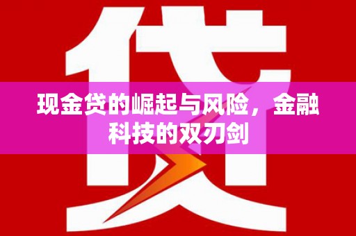 桦川现金贷的崛起与风险，金融科技的双刃剑