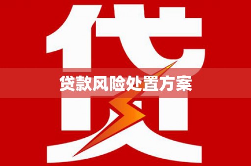 吴中贷款风险处置方案