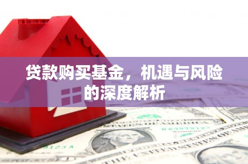 富平贷款购买基金，机遇与风险的深度解析