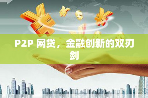 海城P2P 网贷，金融创新的双刃剑