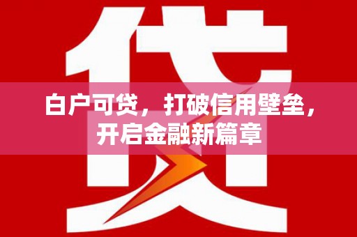 伍家岗白户可贷，打破信用壁垒，开启金融新篇章