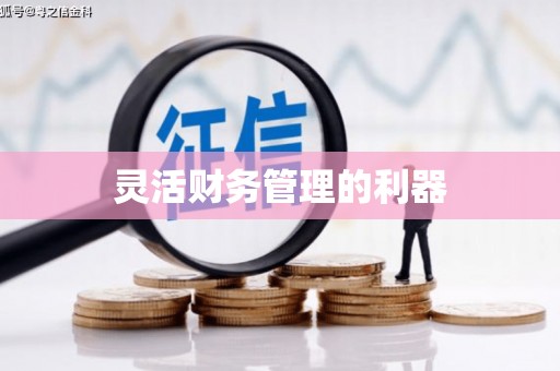 天元灵活财务管理的利器