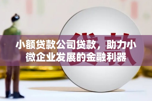 蒲城小额贷款公司贷款，助力小微企业发展的金融利器