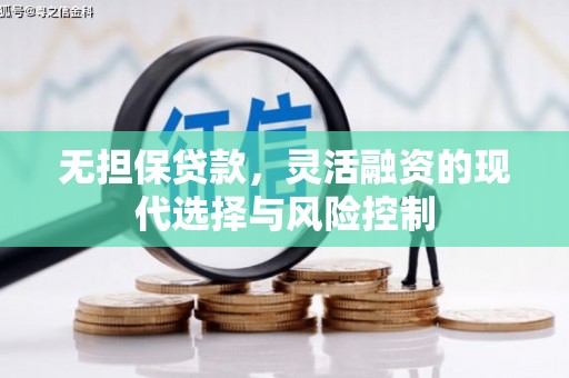 宜君无担保贷款，灵活融资的现代选择与风险控制