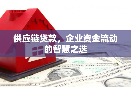 额济纳旗供应链贷款，企业资金流动的智慧之选