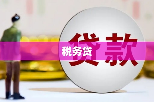 宁明税务贷