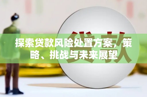 团风探索贷款风险处置方案，策略、挑战与未来展望
