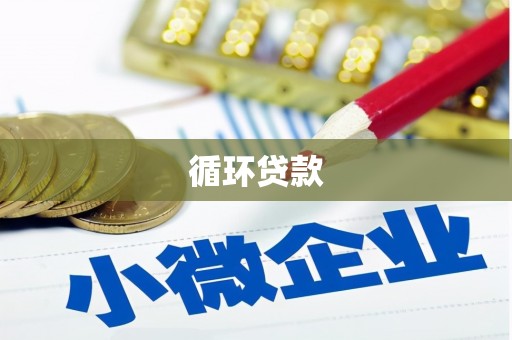 京口循环贷款
