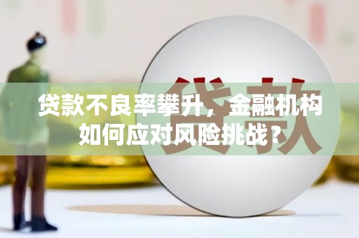 原平贷款不良率攀升，金融机构如何应对风险挑战？