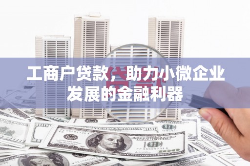 巴塘工商户贷款，助力小微企业发展的金融利器