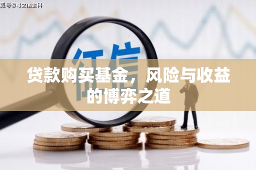 望谟贷款购买基金，风险与收益的博弈之道