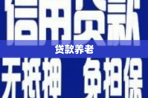 竹崎贷款养老