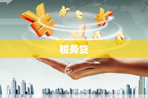 泌阳税务贷