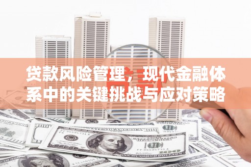凤凰贷款风险管理，现代金融体系中的关键挑战与应对策略