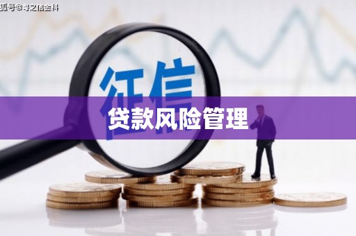 漳平贷款风险管理