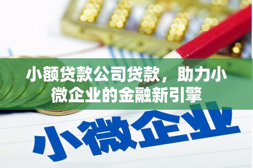 深泽小额贷款公司贷款，助力小微企业的金融新引擎