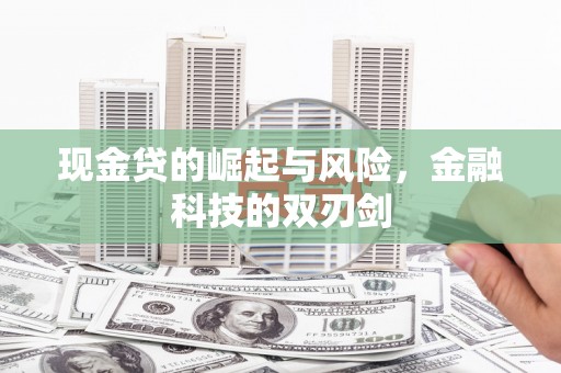 东风现金贷的崛起与风险，金融科技的双刃剑