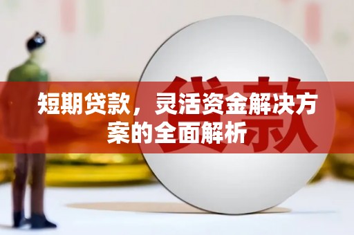 罗源短期贷款，灵活资金解决方案的全面解析
