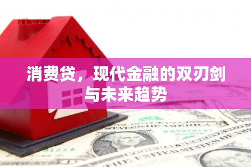 长寿消费贷，现代金融的双刃剑与未来趋势